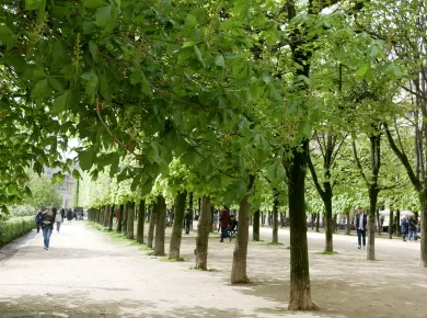 Jardin du Palais Royal, Paris. Discover the best parks in Paris at parsiansundays.com