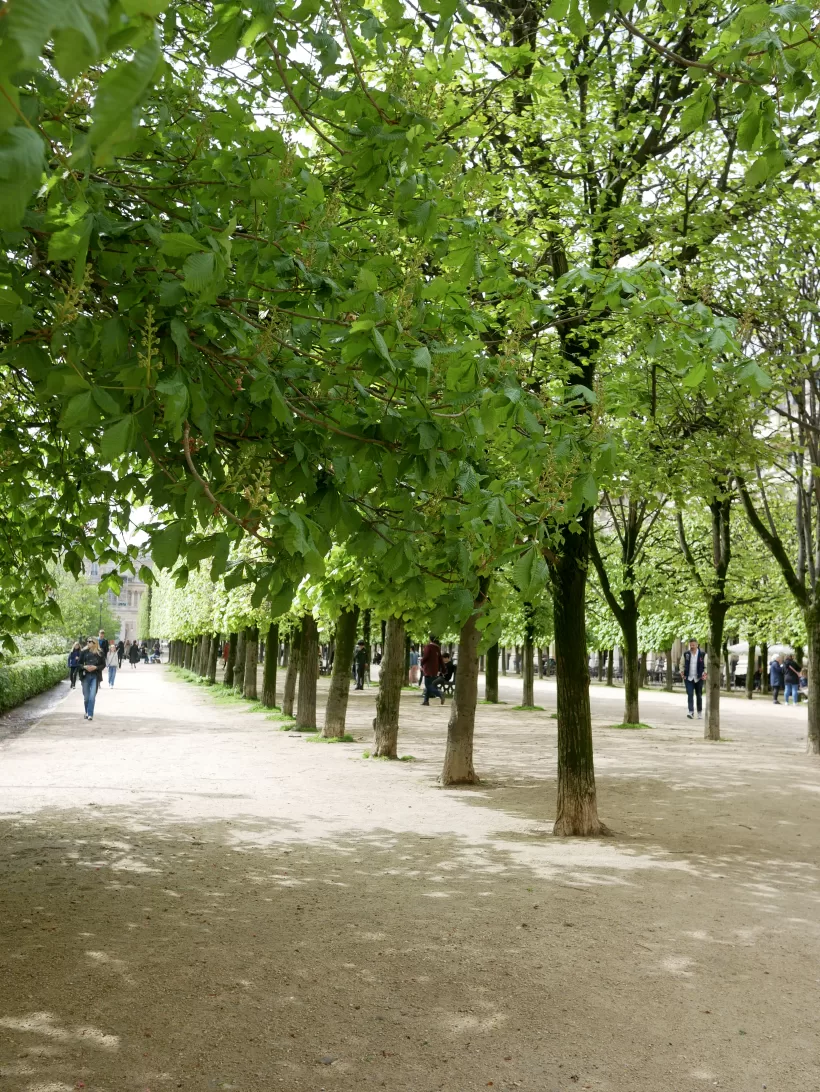 Jardin du Palais Royal, Paris. Discover the best parks in Paris at parsiansundays.com